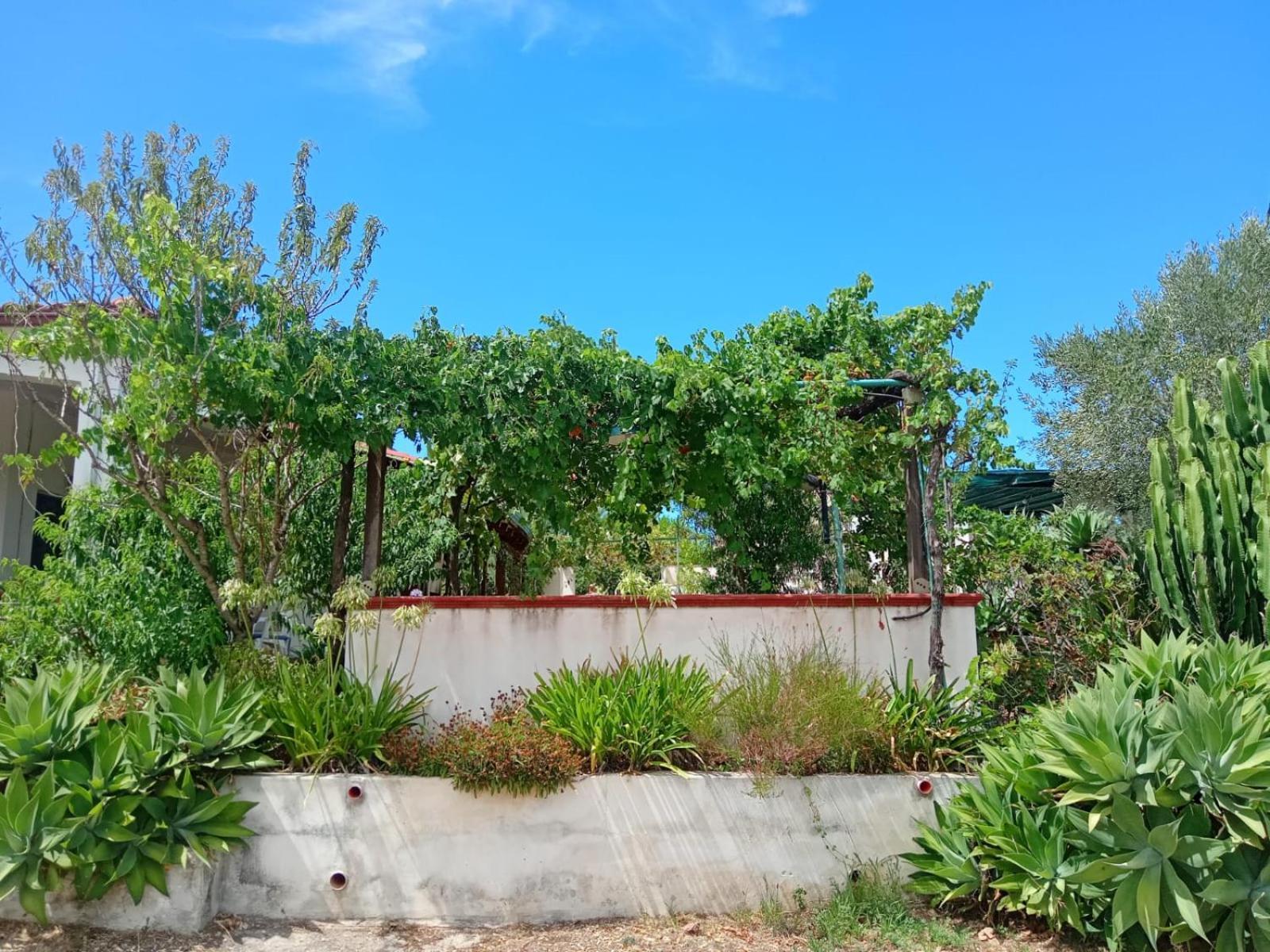 Villa Del Sole Specchiolla Esterno foto