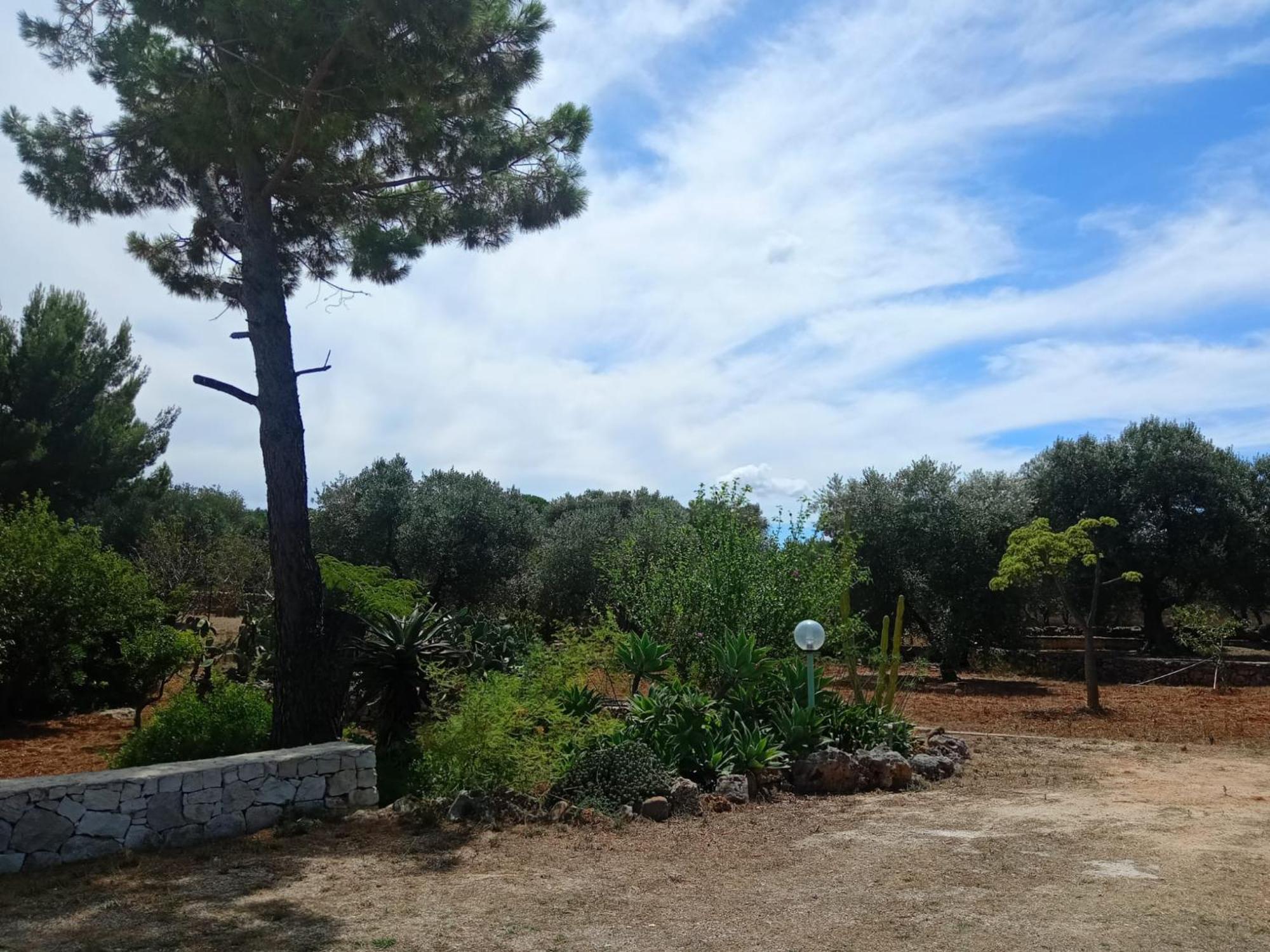 Villa Del Sole Specchiolla Esterno foto